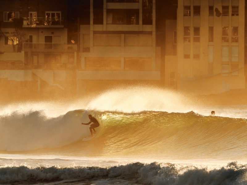 Back lit golds, looking towards North Bondi