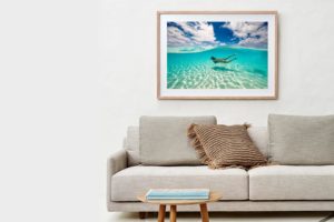 Frame Shadow Box | Raw 125cm x 91cm | $965