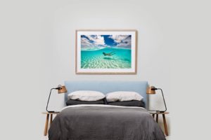 Shadow Box | Raw 125cm x 91cm | $965