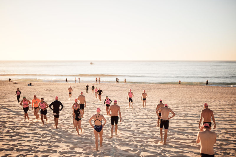 Bondi swim herd