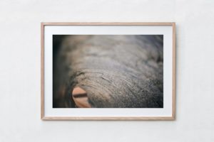 Shadow Box | Raw 125cm x 91cm | $1,300