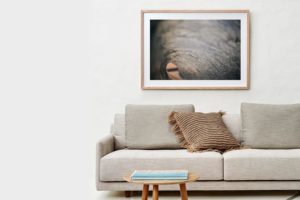 Frame Shadow Box | Raw 125cm x 91cm | $1,300