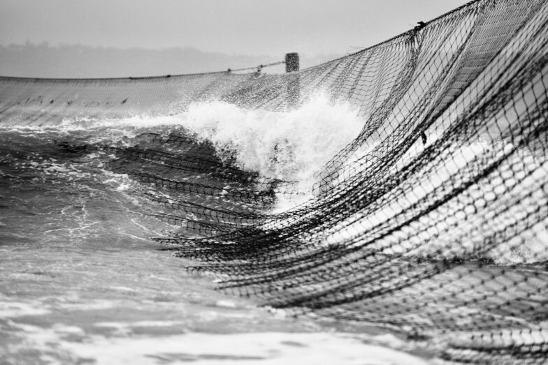 Shark nets getting a work out