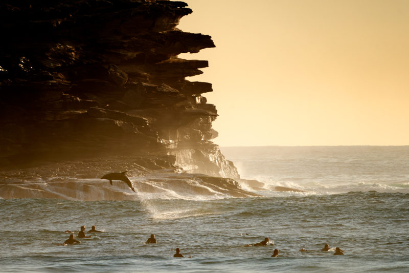 "Spirituality" Tamarama. March 19, 2020