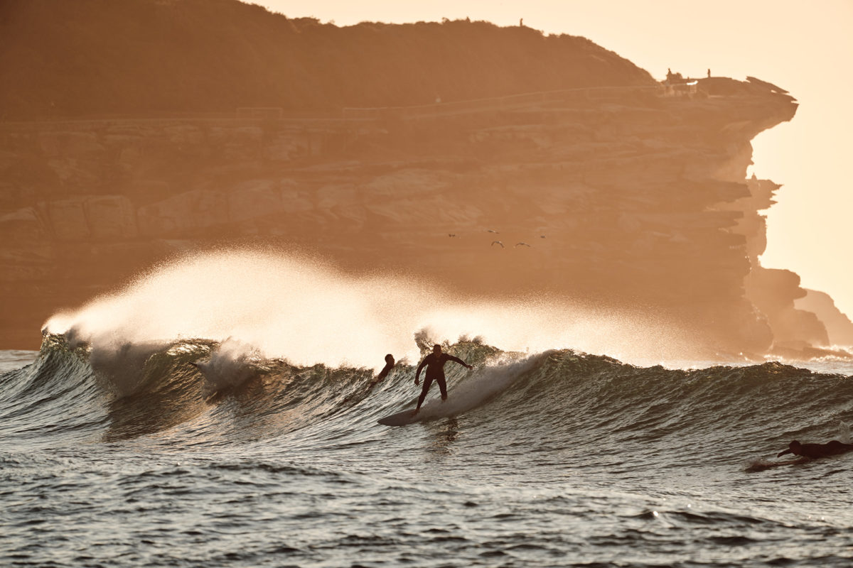 Bronte take off in the golds