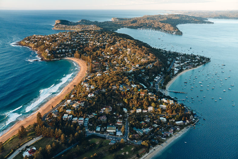 Which side today? Palmy or The Pittwater
