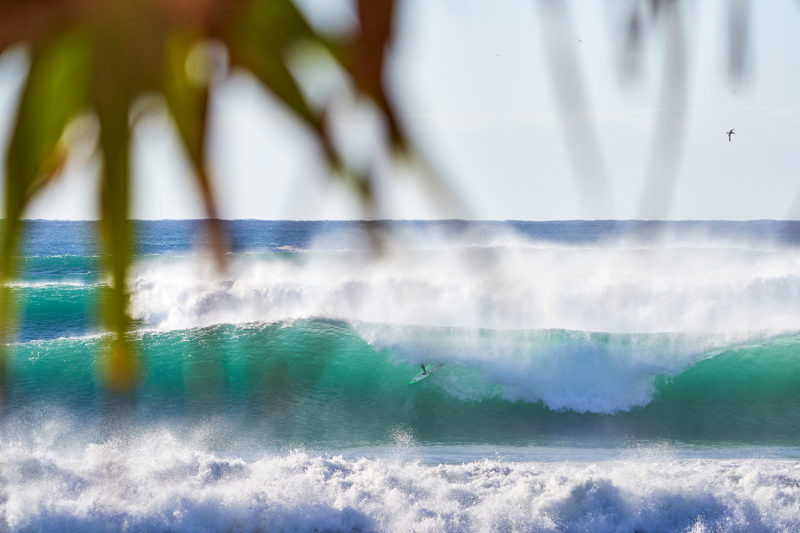 Kyuss King (I think). Shacked at Lennox