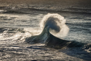 Love to see you try surf that wild bucking horse