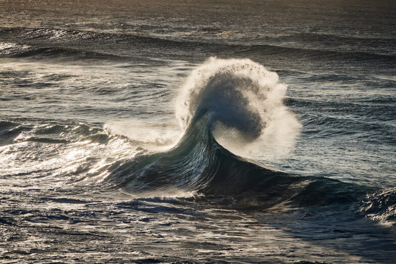 Love to see you try surf that wild bucking horse