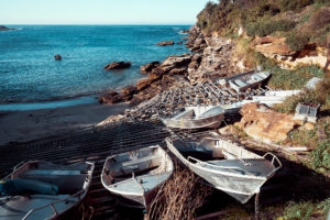 Gordon's Bay, Coogee