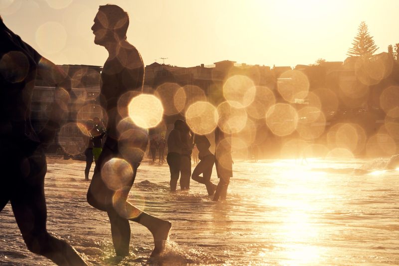 North Bondi, dripping in golds. 7am this morning