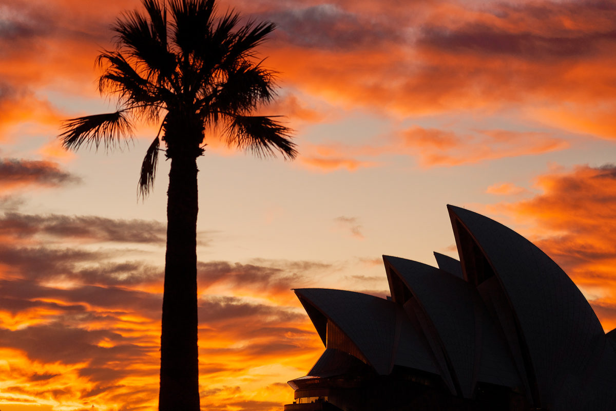 The Sydney Opera house this morning