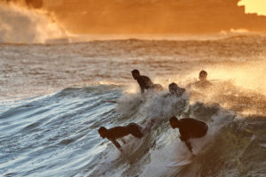 A hungry pack, Bronte