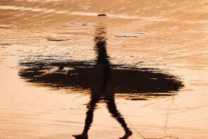 Shadow Walker