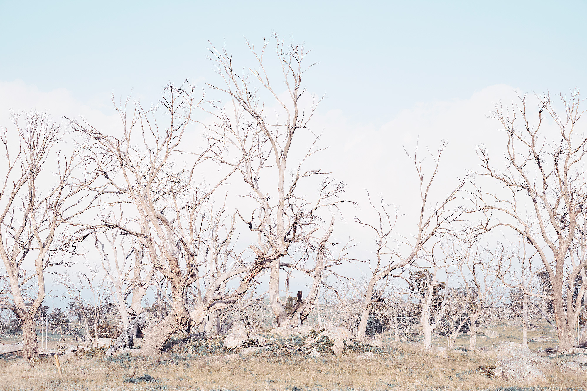 Just outside Cooma