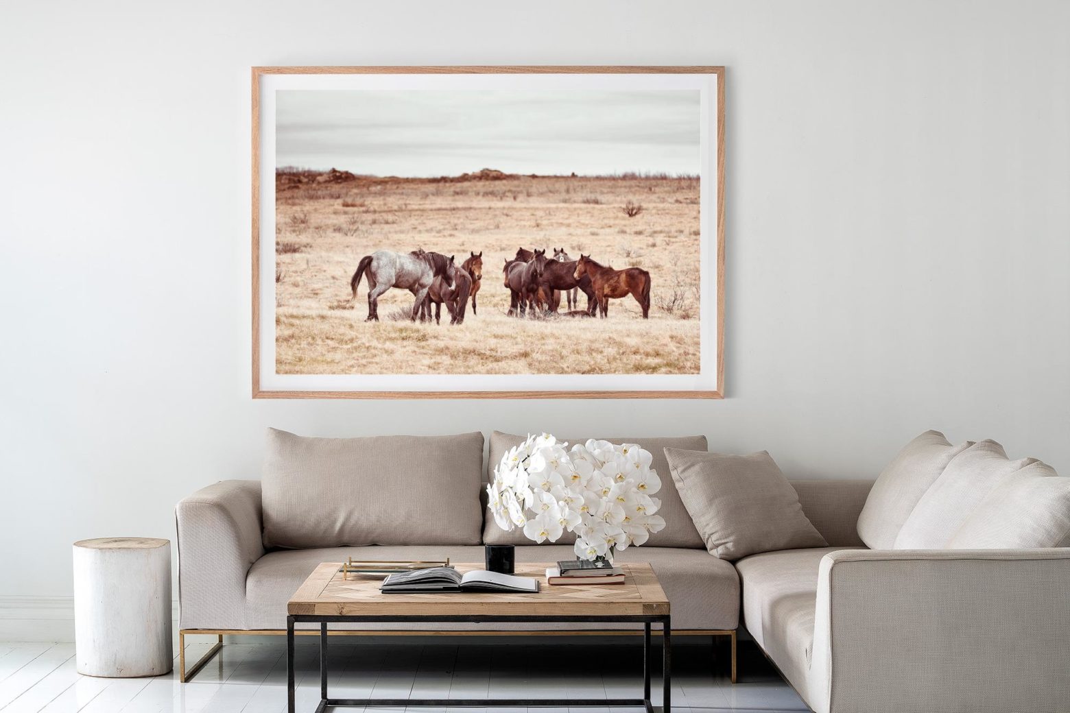 'Long Plain Brumbies' in our large raw shadowbox, 167cm x 118cm