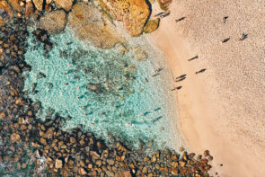 Bogey Glory, Bronte Beach