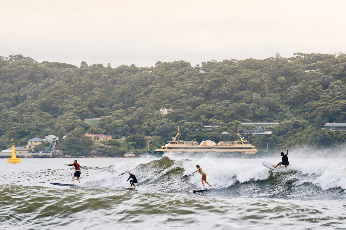 Sydney Harbour coming alive, not just with the ferries