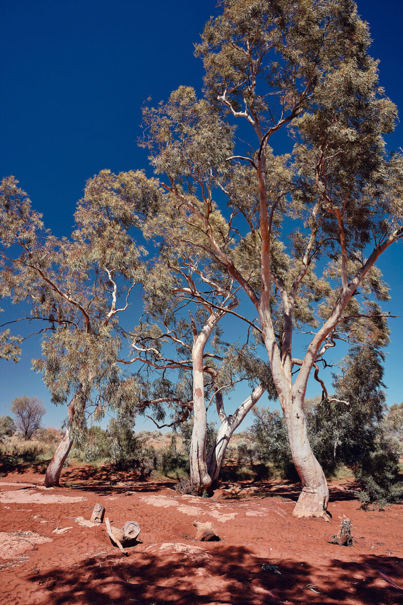 Umberumberka Creek, Silverton, NSW