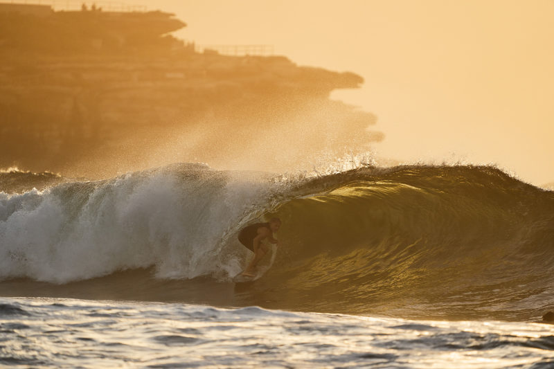 Morning golden nugs, inside bowl on the left. Bondi