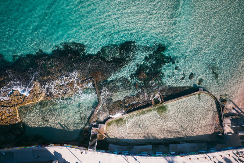 Nice day huh? Dive right in. North Bondi this morning