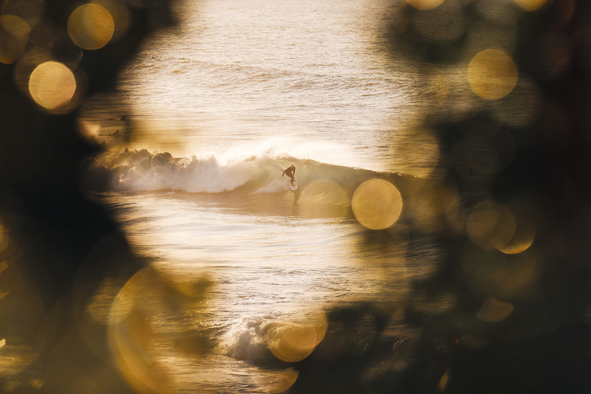 South Bondi 7:30am today, chasing nugs