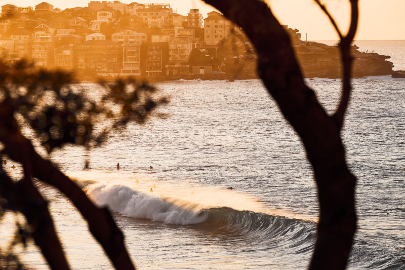 Hello good looking! Empty hollows of Bondi