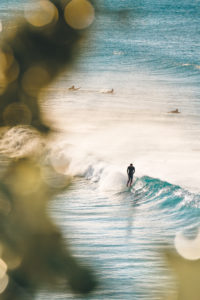 French Express, Bondi