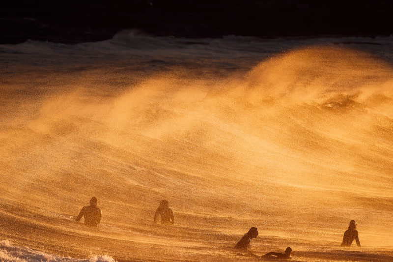 Star dust, Bronte Reef