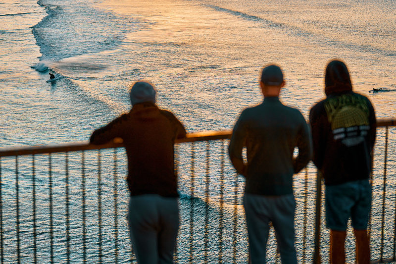 Dribbles, limping into Bondi Bay