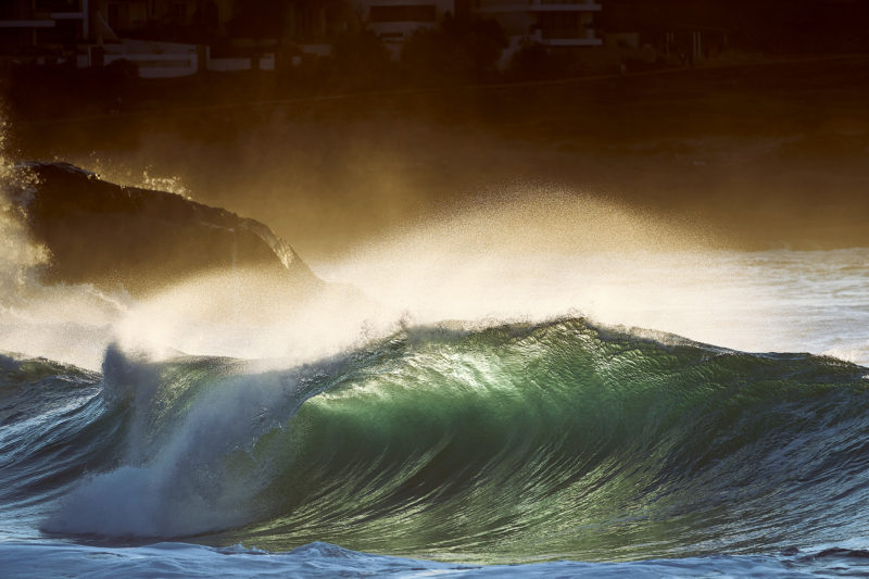 Bronte hollows, this morning around 7:30am