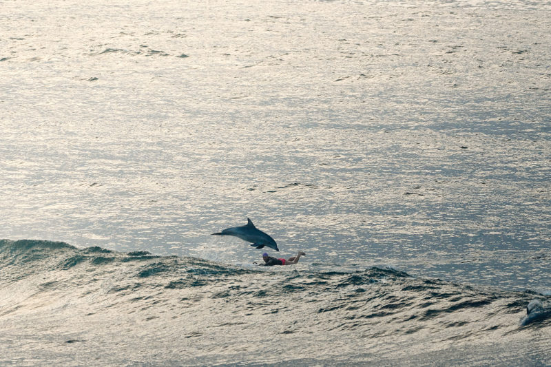 Bondi 7:00am, hiding under a dolphin