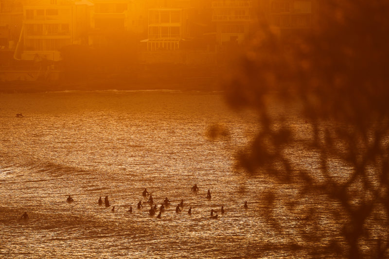 Love those winter sunrises, hungry pack at Middle Bondi