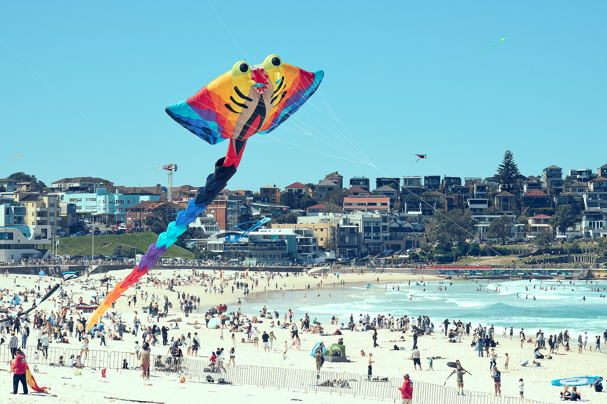 Good weather and kites = very busy Bondi!
