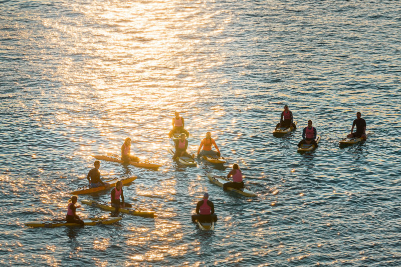 Sunrise paddle, Bondi