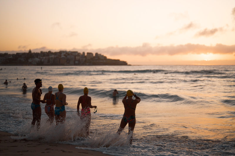 Good morning Bondi!