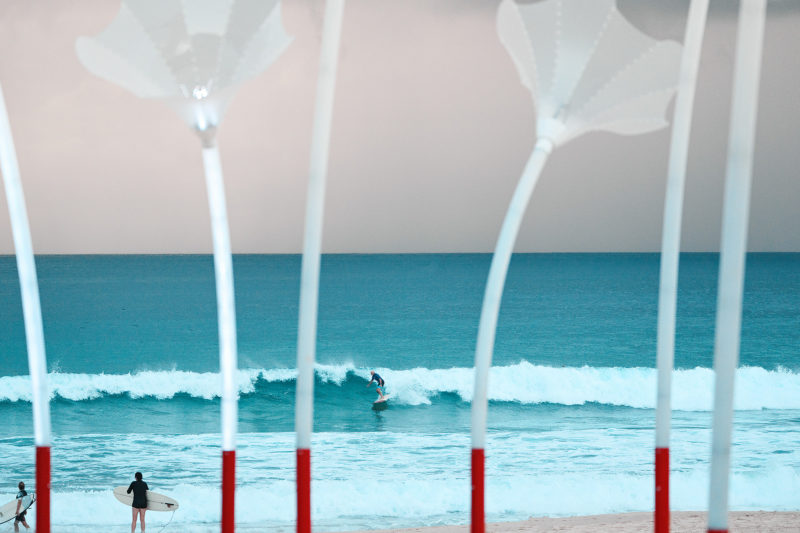 Shooting through the Lillys, Bondi in the dark at 7am