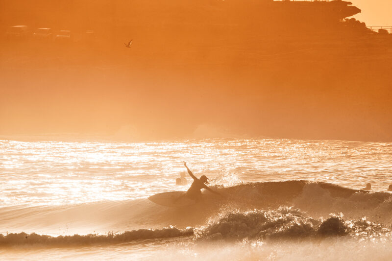 Shredding the morning glow, Bondi 7:30am