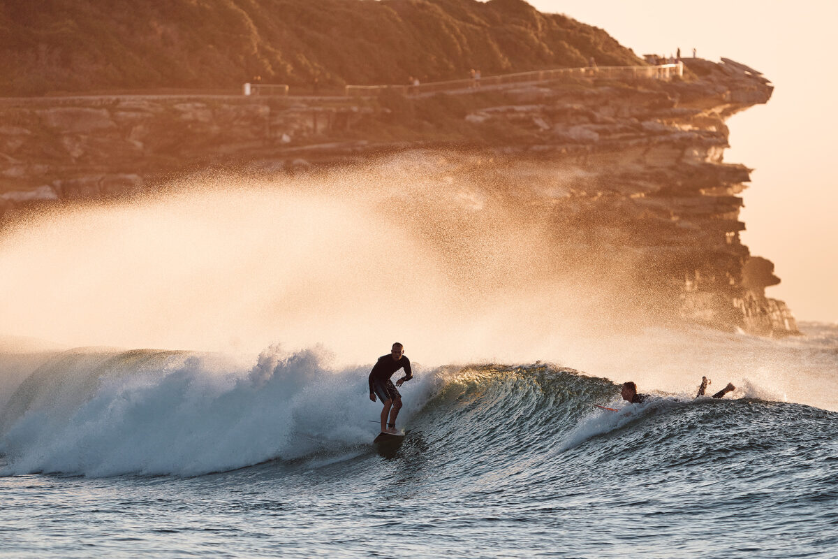 Good backdrop with Autumn light, this morning