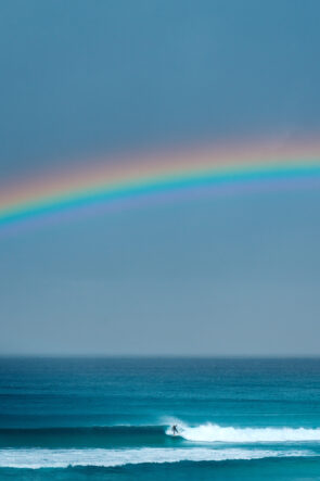 Rainbow Rights, Pacific Palms