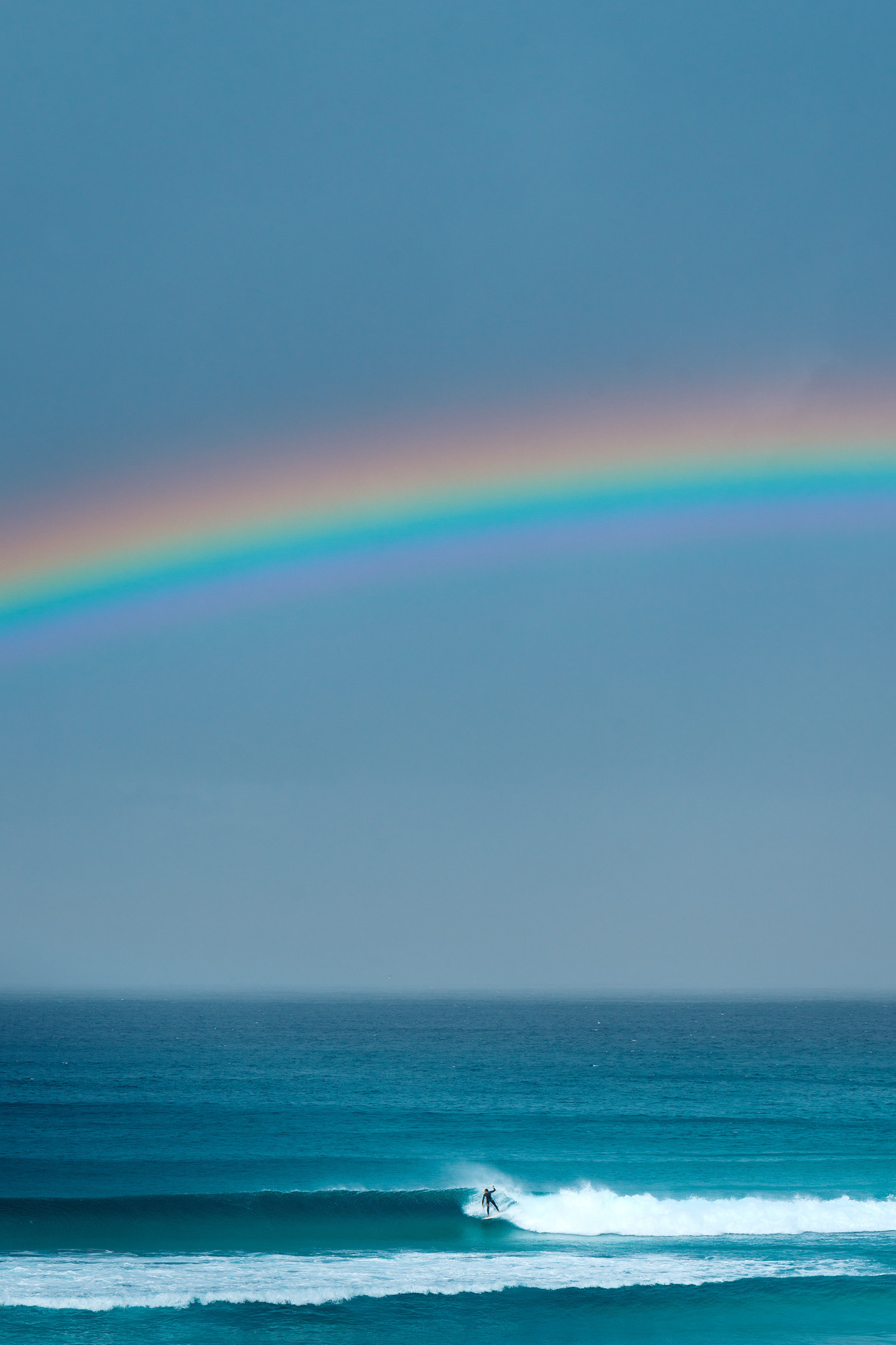 Rainbow Rights, Pacific Palms