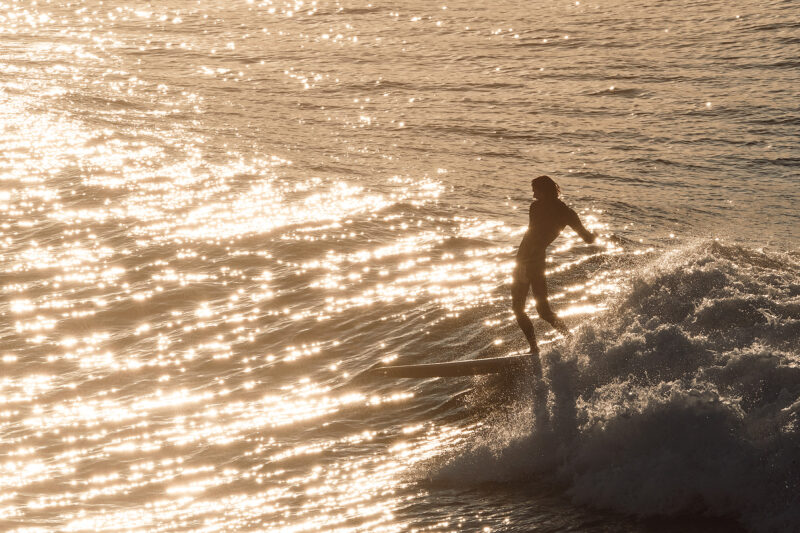 Morning slide in the golden glitter at South Bondi