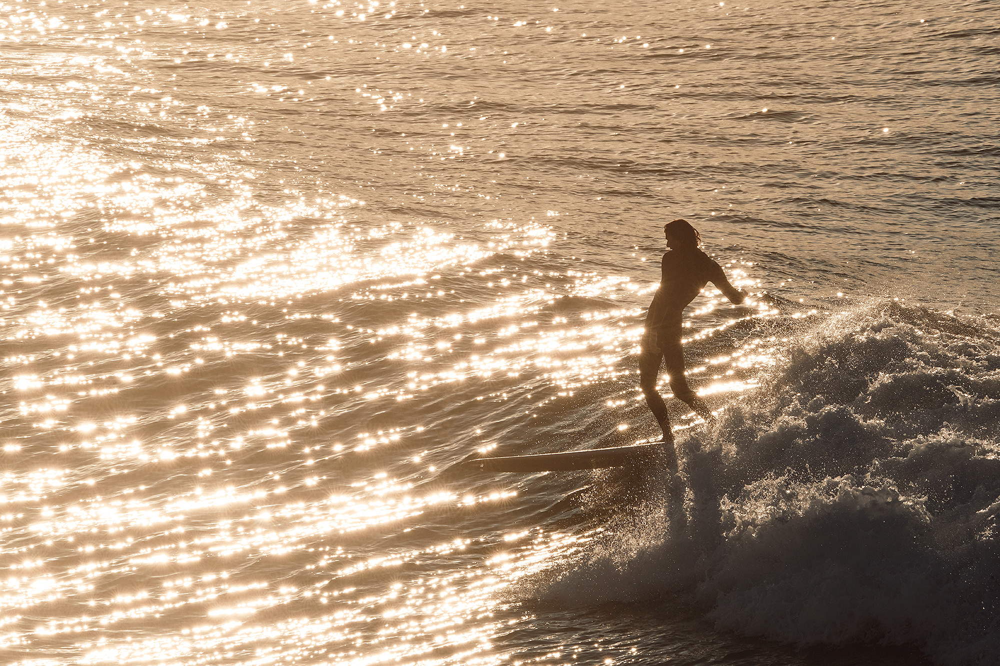 Morning slide in the golden glitter at South Bondi