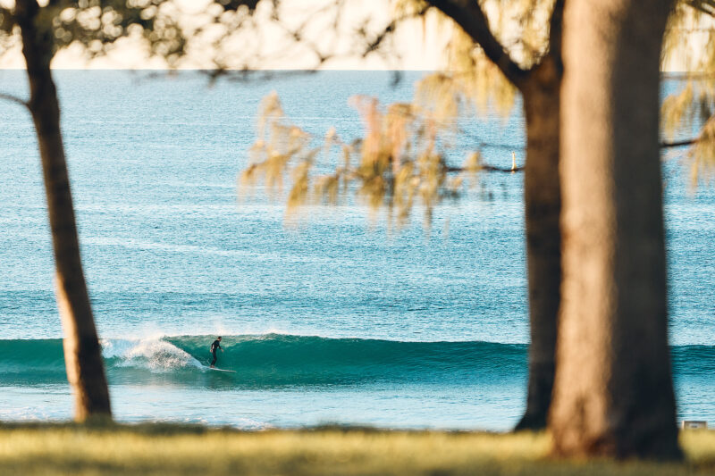 Clean lines of Bondi this morning 7:30am