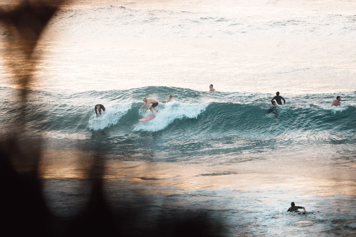 Bondi, the capital of the drop-in