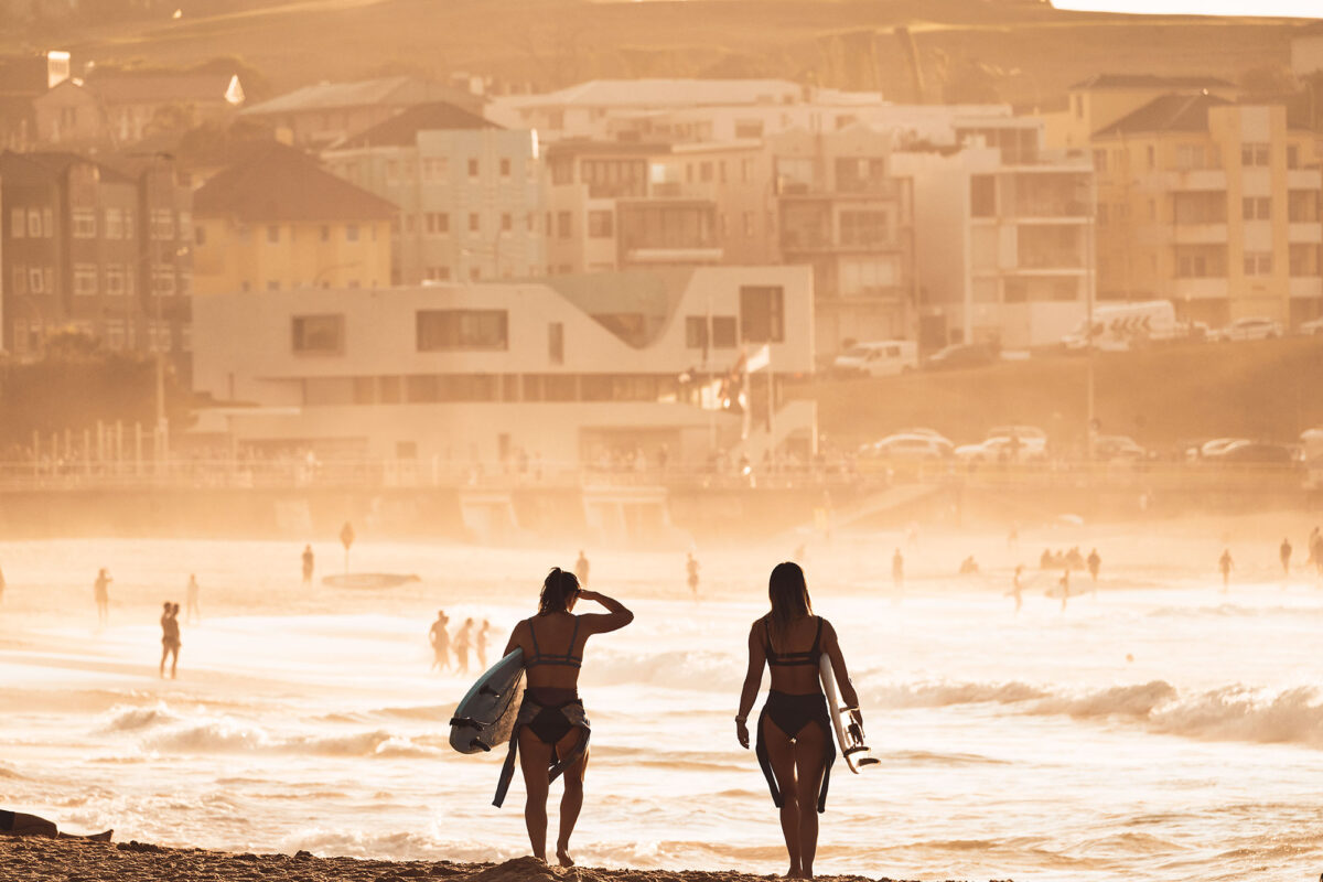 Shredders heading north, Bondi