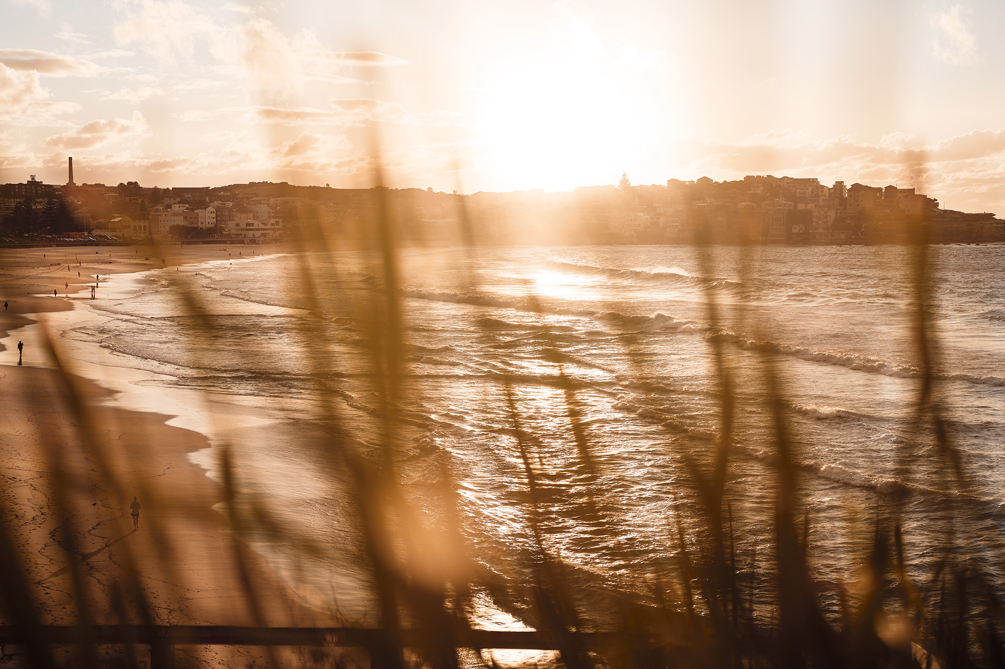 Hip hip hooray, the sun came out this morning. Bondi 7am