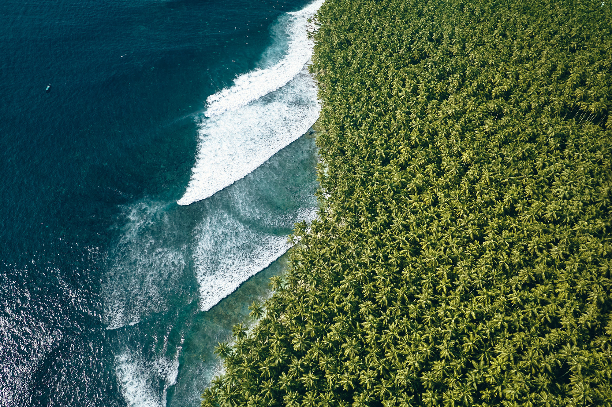 DJI_0822