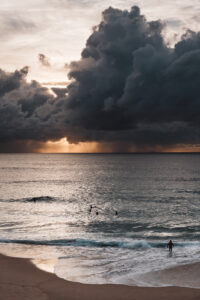 Paradise Lost_7CR09147_2025_Mar_27_