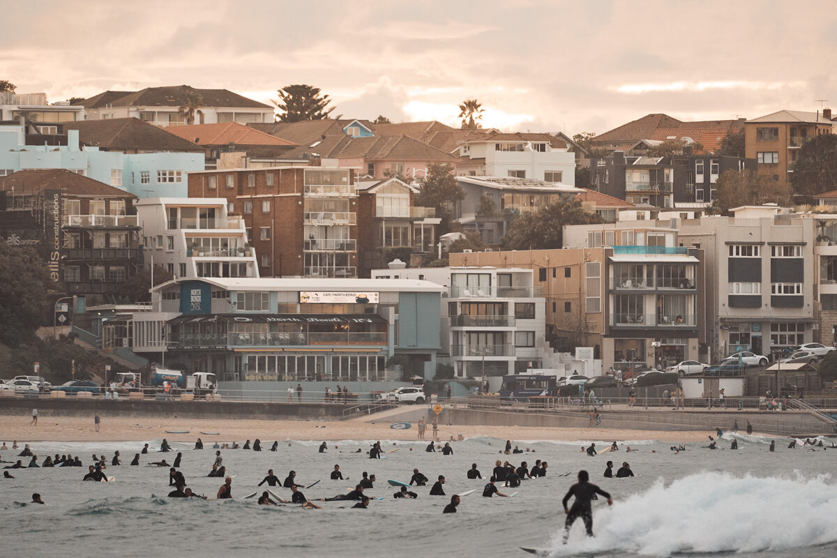 How many in the water you reckon? And that's just North